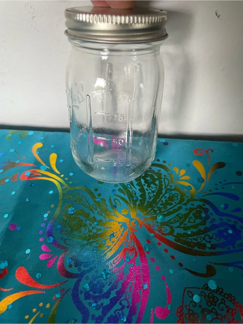 Ball Mason Glass Jars with Silver Lids - Set of 6